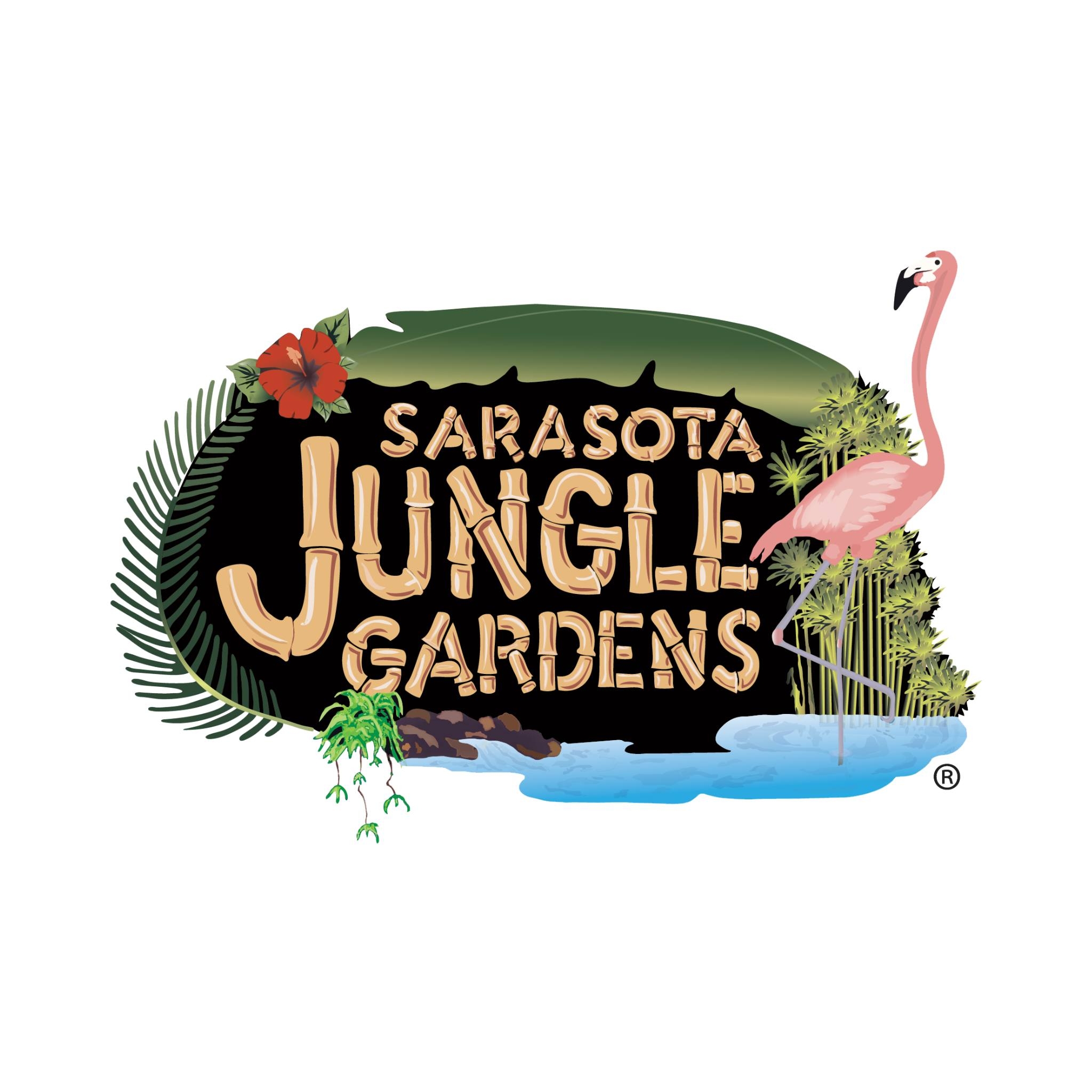 Things To Do Sarasota Jungle Gardens